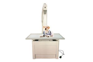 Veterinary x ray table for DR